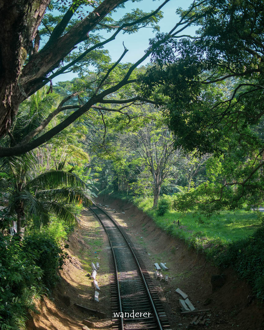 Wanderers Life Gallery 3