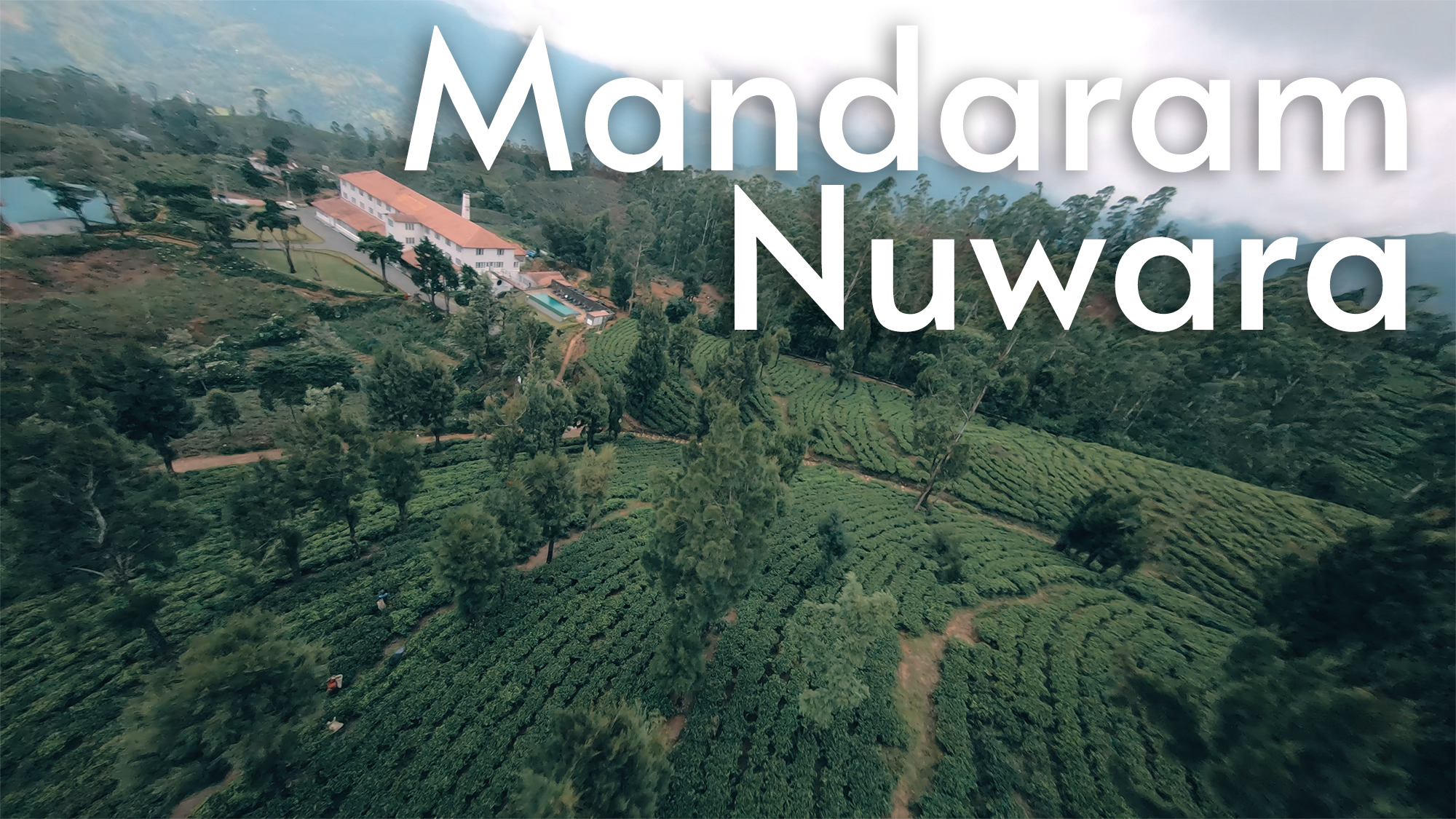 Tea & Experience Factory: Where History and Tea Unite