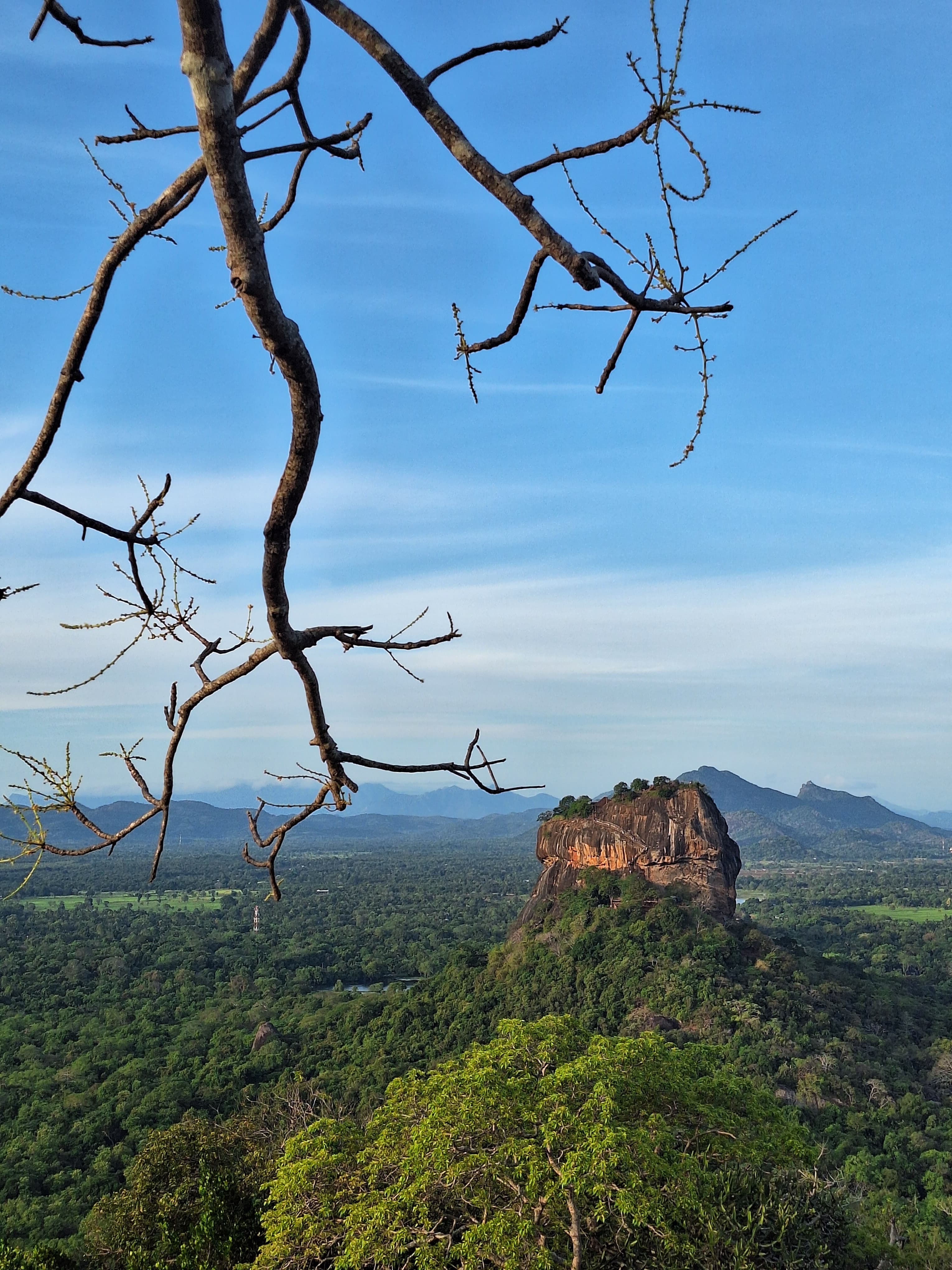 Framing Sigiriya Through the Wilderness