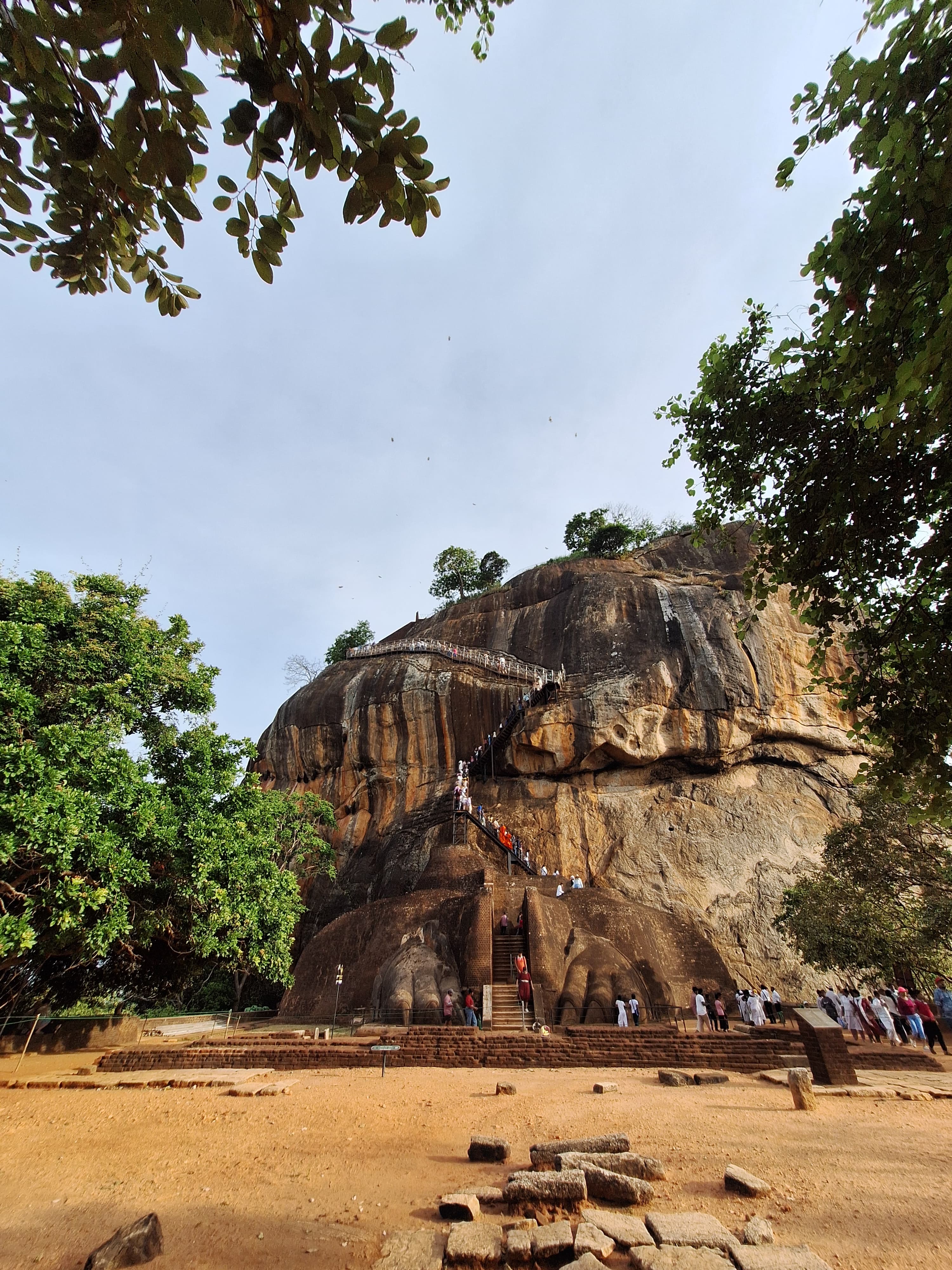 The Lion Paws Terrace Looking Up