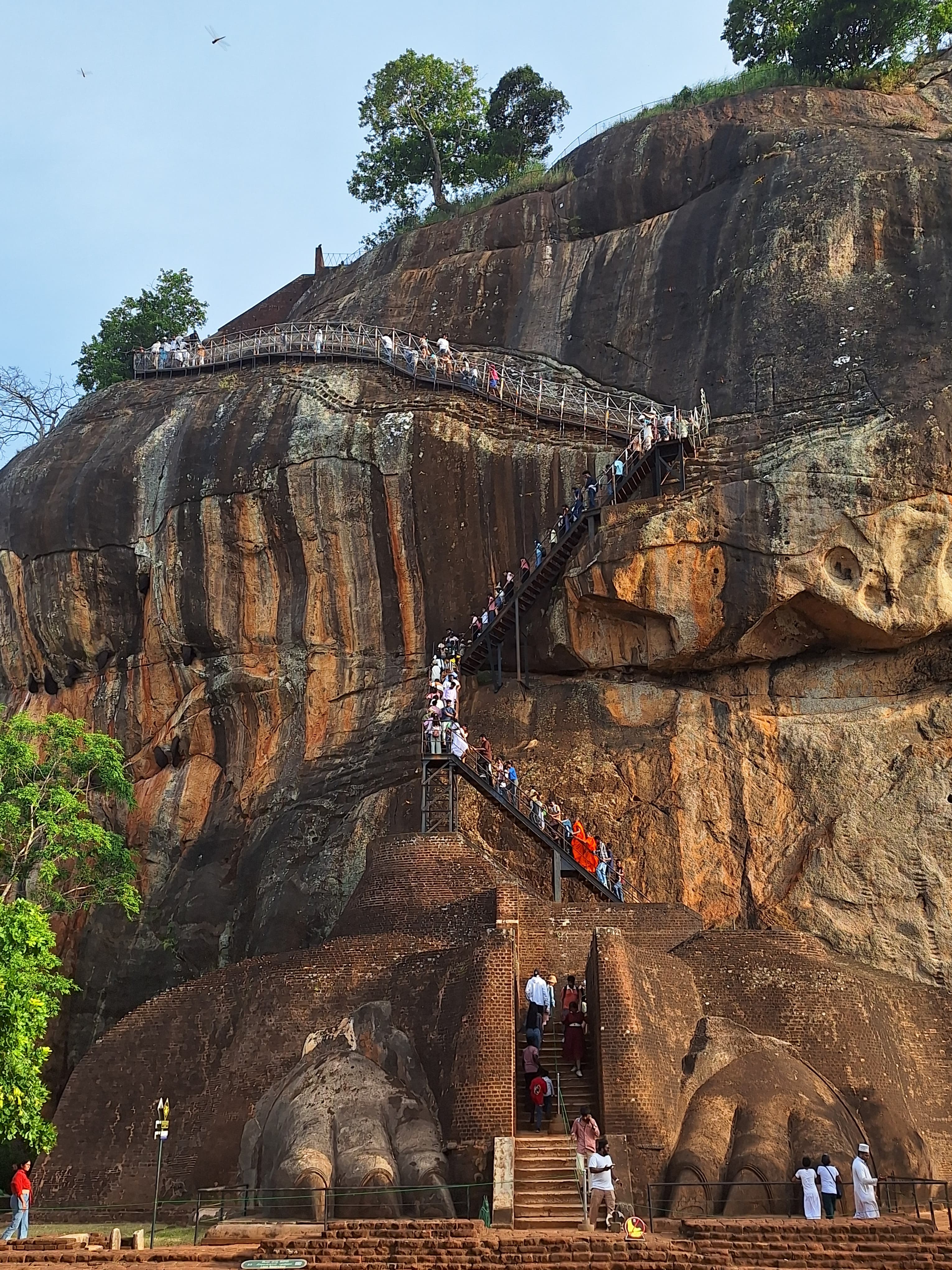 Climbing Through the Lion Paws Gate